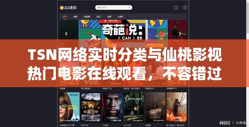TSN网络实时分类与仙桃影视热门电影在线观看,不容错过的影视盛宴