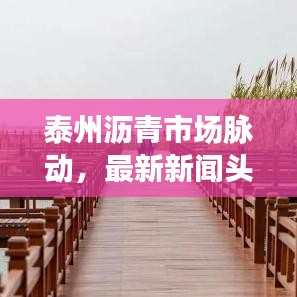 泰州沥青市场脉动，最新新闻头条、市场趋势揭秘与技术创新动态及工程进展速递