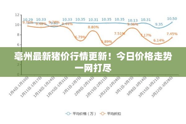 亳州最新猪价行情更新!今日价格走势一网打尽