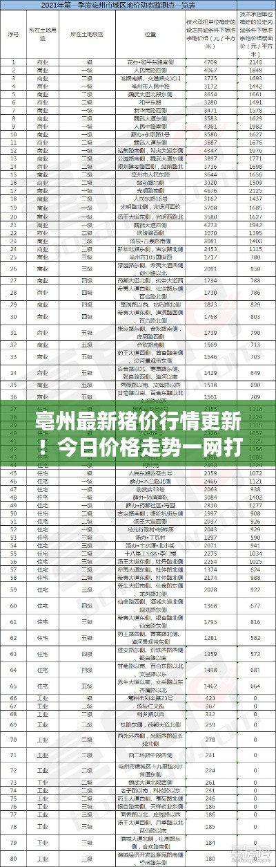 亳州最新猪价行情更新!今日价格走势一网打尽