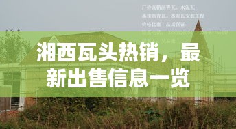 湘西瓦头热销，最新出售信息一览