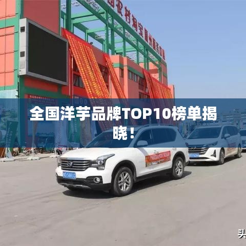全国洋芋品牌TOP10榜单揭晓！