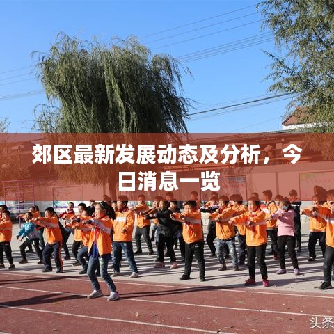 郊区最新发展动态及分析，今日消息一览