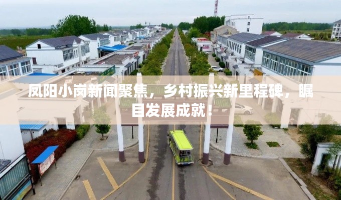 凤阳小岗新闻聚焦，乡村振兴新里程碑，瞩目发展成就！