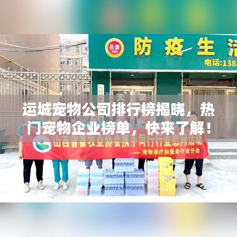 运城宠物公司排行榜揭晓，热门宠物企业榜单，快来了解！