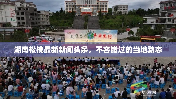 湖南松桃最新新闻头条，不容错过的当地动态