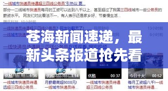 苍海新闻速递，最新头条报道抢先看