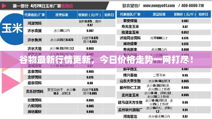 谷物最新行情更新，今日价格走势一网打尽！