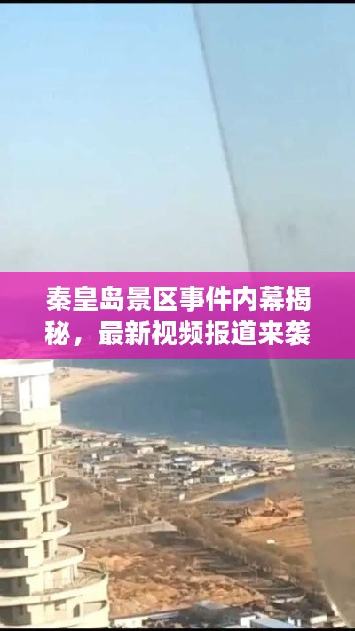 网站案例 第20页