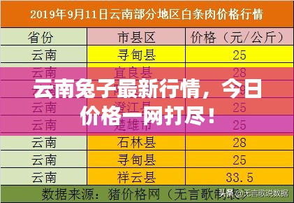 2025年10月3日 第4页