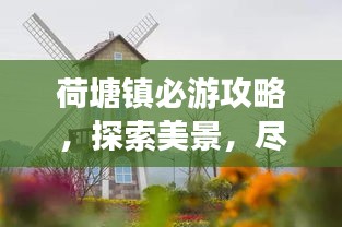2025年10月5日 第4页