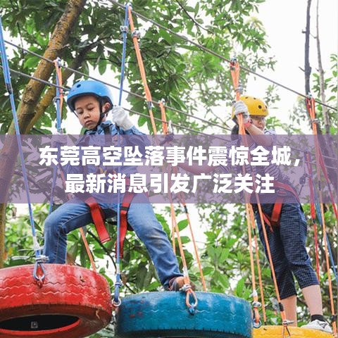 2025年10月6日 第3页