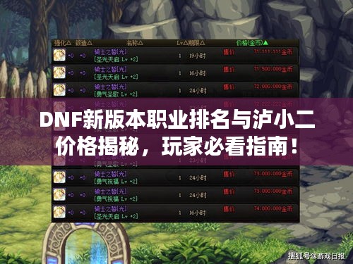 DNF新版本职业排名与泸小二价格揭秘，玩家必看指南！