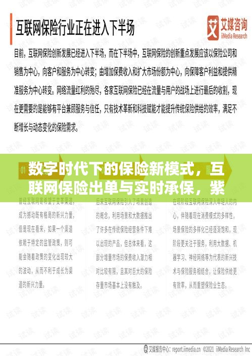 数字时代下的保险新模式，互联网保险出单与实时承保，紫兰州烟价格探析