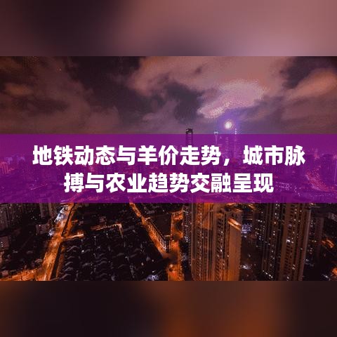 地铁动态与羊价走势，城市脉搏与农业趋势交融呈现