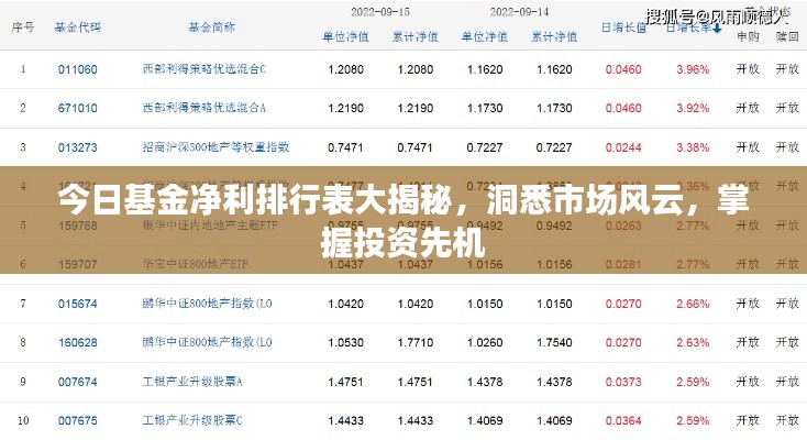 今日基金净利排行表大揭秘，洞悉市场风云，掌握投资先机