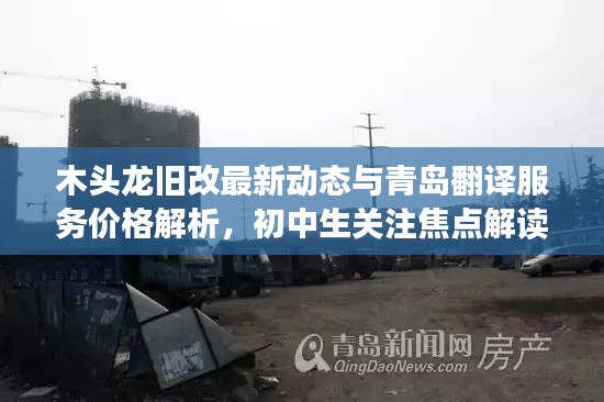 木头龙旧改最新动态与青岛翻译服务价格解析，初中生关注焦点解读