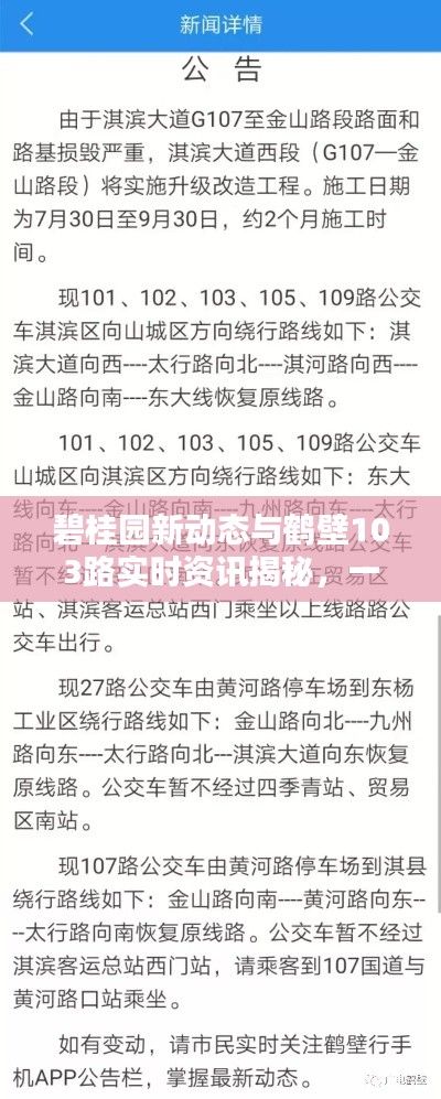 碧桂园新动态与鹤壁103路实时资讯揭秘，一站式获取你所关心的资讯！