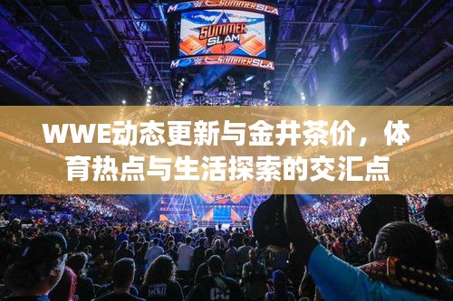 WWE动态更新与金井茶价，体育热点与生活探索的交汇点