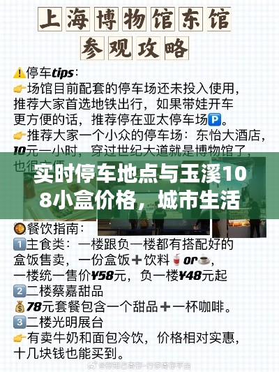 实时停车地点与玉溪108小盒价格,城市生活的细节探索