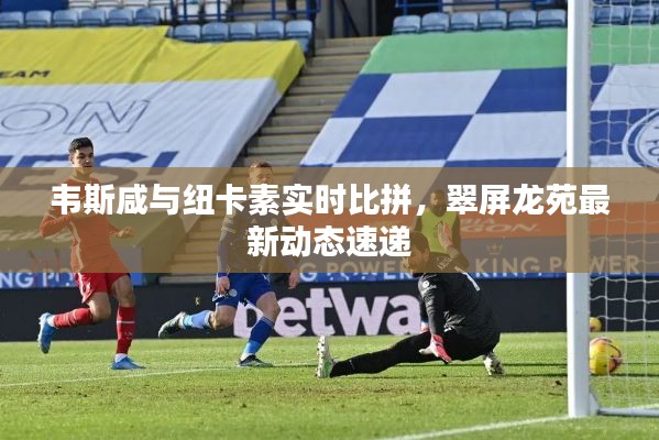 韦斯咸与纽卡素实时比拼，翠屏龙苑最新动态速递