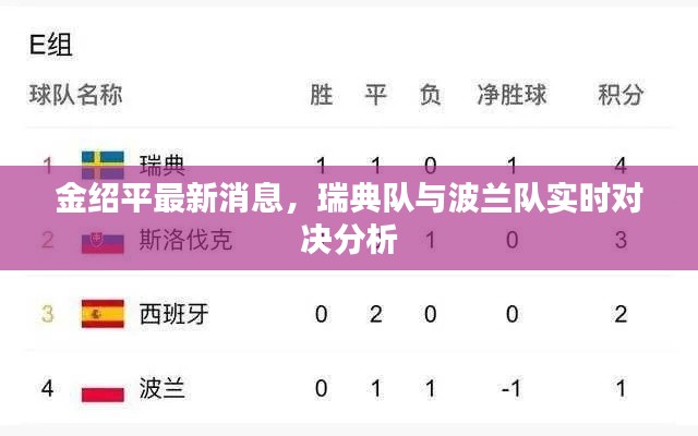 金绍平最新消息,瑞典队与波兰队实时对决分析