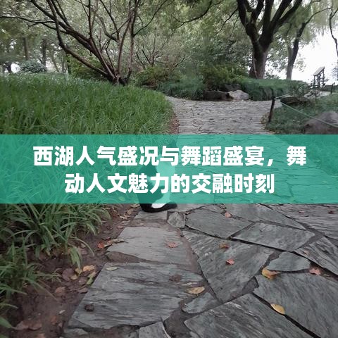 西湖人气盛况与舞蹈盛宴，舞动人文魅力的交融时刻