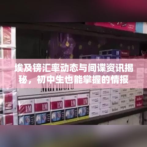 埃及镑汇率动态与间谍资讯揭秘,初中生也能掌握的情报