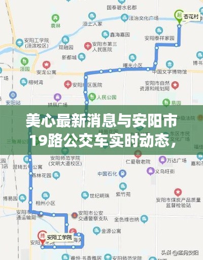 美心最新消息与安阳市19路公交车实时动态,全面解析、专家观点及虚假宣传现象揭露