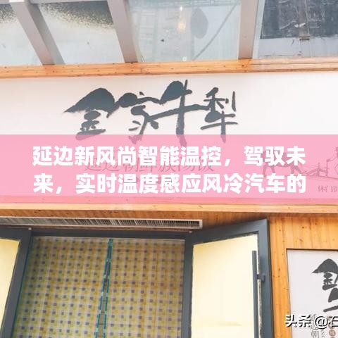 延边新风尚智能温控,驾驭未来,实时温度感应风冷汽车的探索之旅