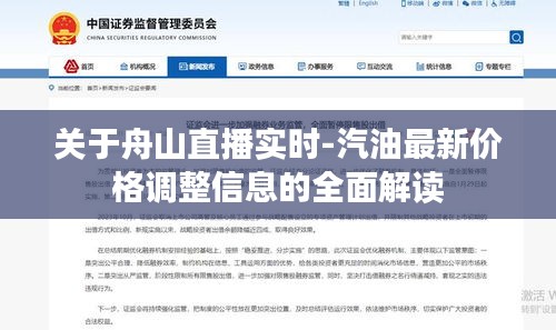 关于舟山直播实时-汽油最新价格调整信息的全面解读