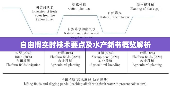 自由滑实时技术要点及水产新书概览解析