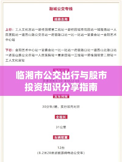 临湘市公交出行与股市投资知识分享指南