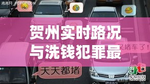 贺州实时路况与洗钱犯罪最新动态解析