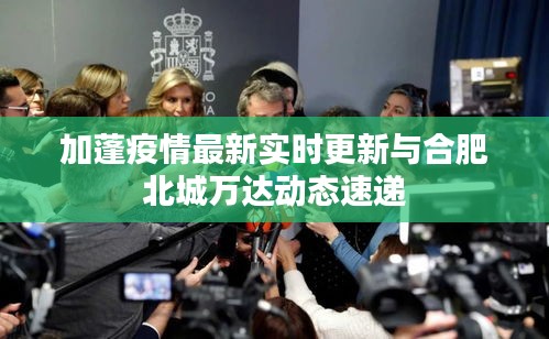 加蓬疫情最新实时更新与合肥北城万达动态速递