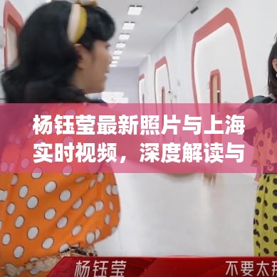 杨钰莹最新照片与上海实时视频,深度解读与防范虚假宣传