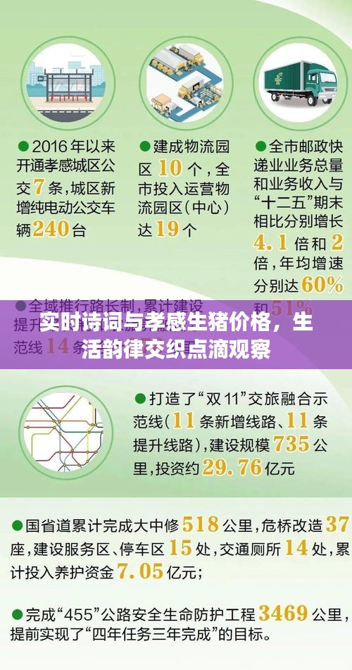 实时诗词与孝感生猪价格,生活韵律交织点滴观察