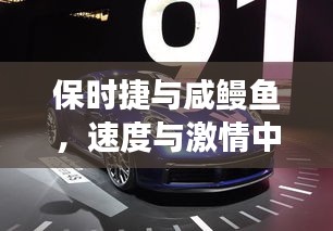 保时捷与咸鳗鱼,速度与激情中的美食价格探秘