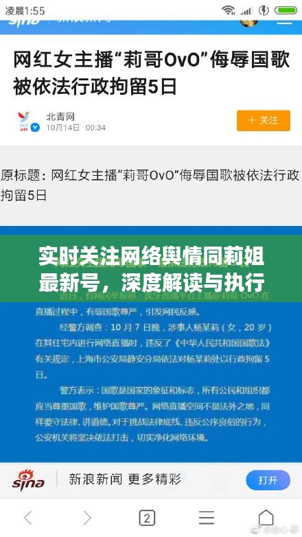 实时关注网络舆情同莉姐最新号,深度解读与执行策略