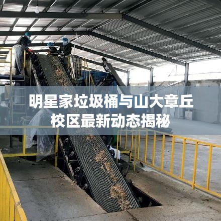 明星家垃圾桶与山大章丘校区最新动态揭秘
