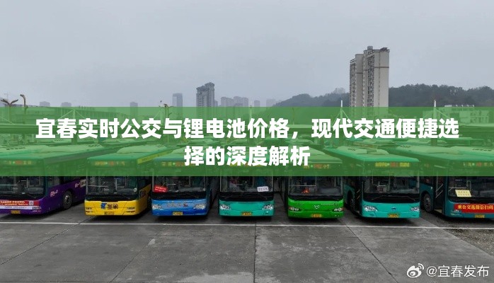 宜春实时公交与锂电池价格,现代交通便捷选择的深度解析