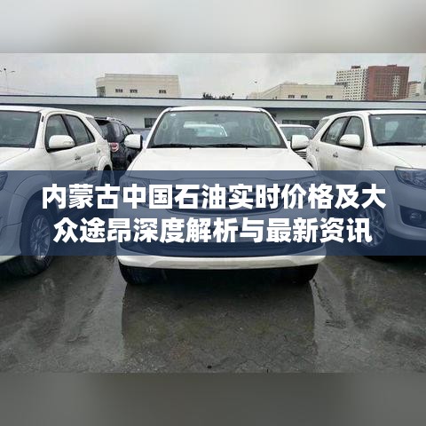 内蒙古中国石油实时价格及大众途昂深度解析与最新资讯