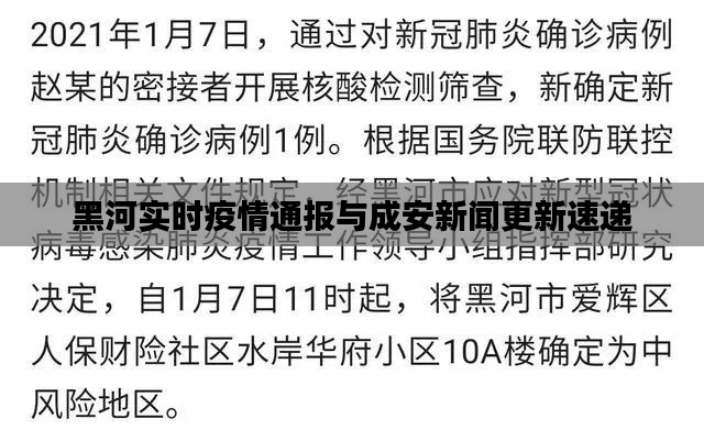 黑河实时疫情通报与成安新闻更新速递