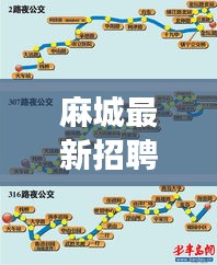 麻城最新招聘与增城公交实时动态,职场导航与公共交通无缝对接