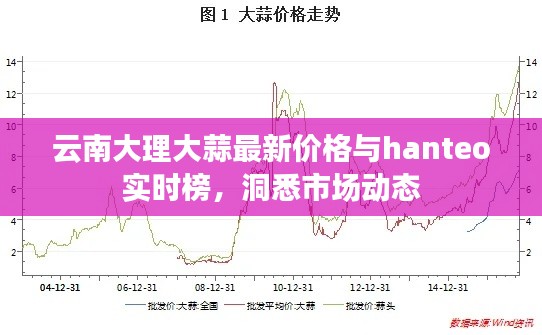 云南大理大蒜最新价格与hanteo实时榜,洞悉市场动态