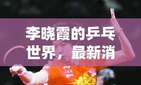 网站案例 第15页