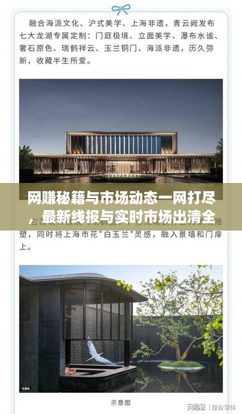 网赚秘籍与市场动态一网打尽,最新线报与实时市场出清全解析