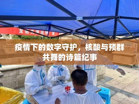 疫情下的数字守护，核酸与预群共舞的诗篇纪事