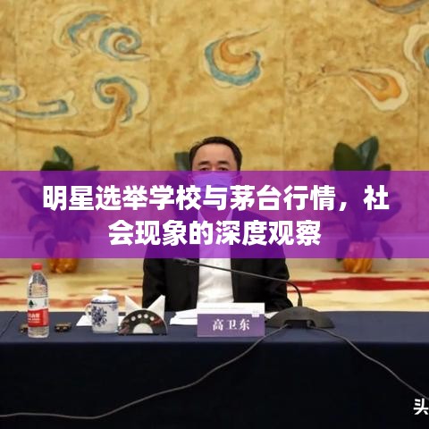 明星选举学校与茅台行情,社会现象的深度观察
