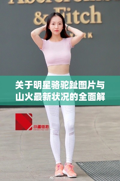 关于明星骆驼趾图片与山火最新状况的全面解析